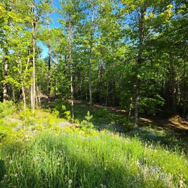 515 Dodlin Road Enfield, ME 04493 - Photo 64 of 74 515 Dodlin Road