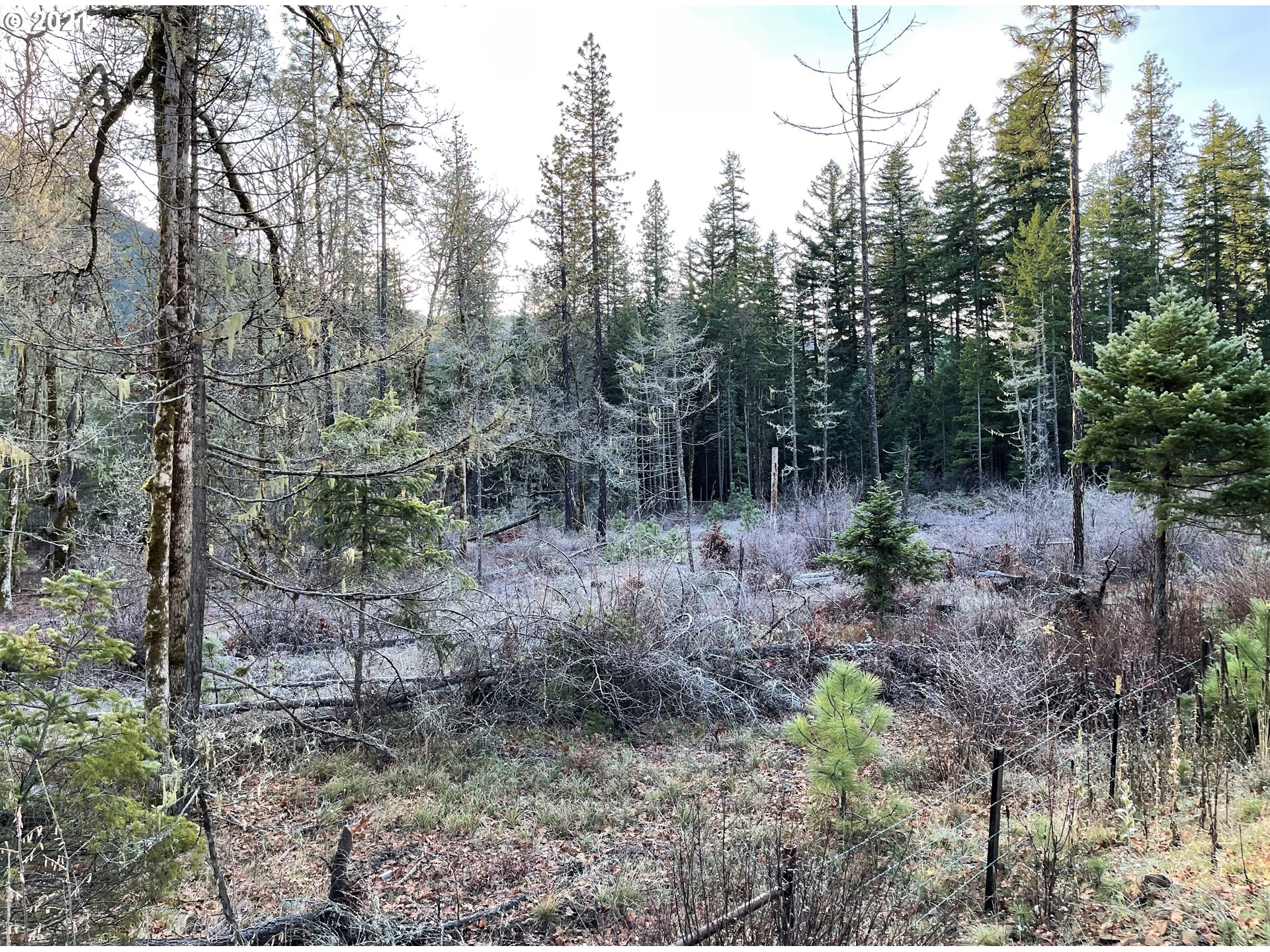 Rattlesnake Road, Unit B White Salmon, WA 98672 - Photo 11 of 18 Gallery Image 11