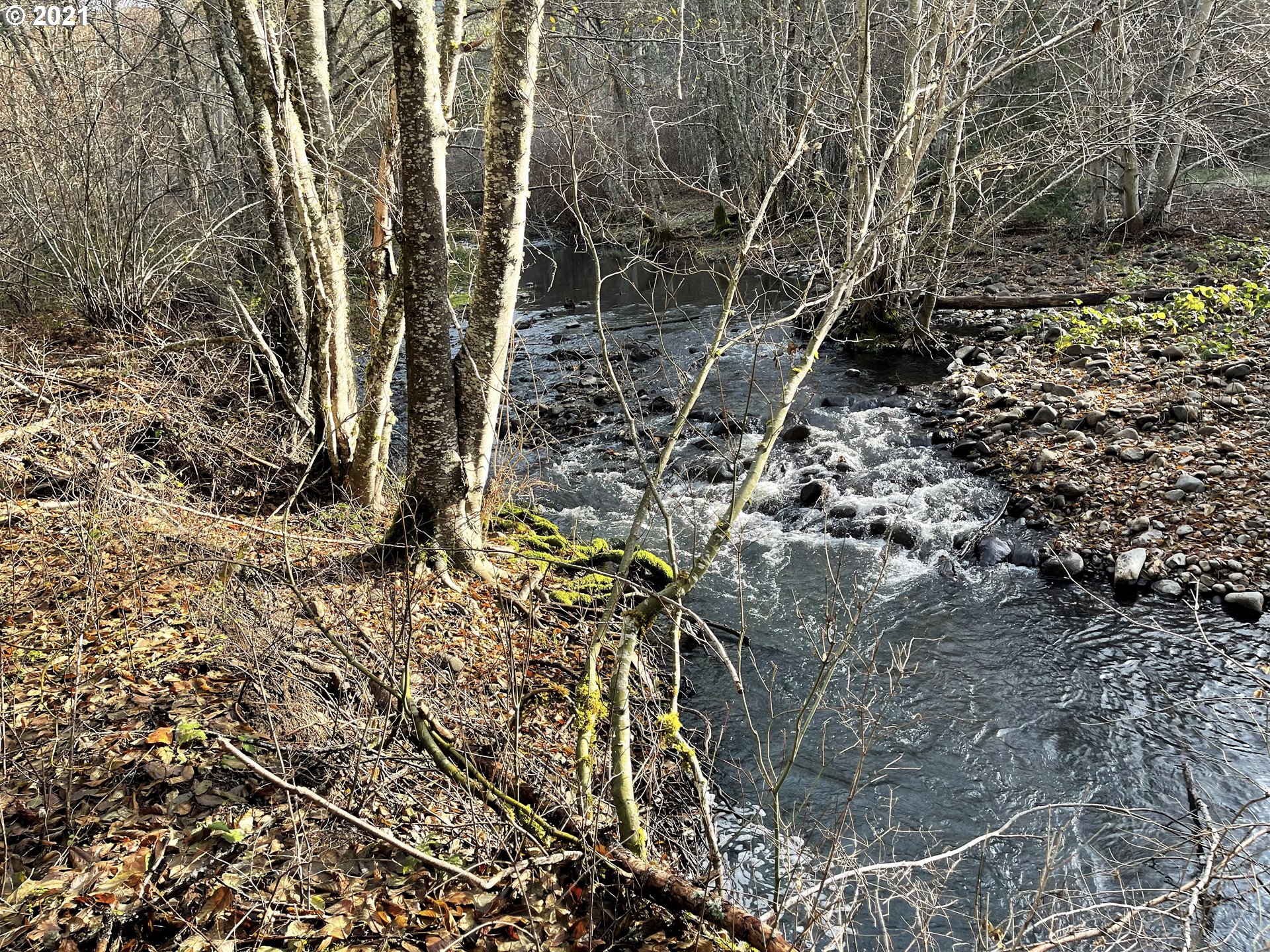 Rattlesnake Road, Unit B White Salmon, WA 98672 - Photo 15 of 18 Gallery Image 15