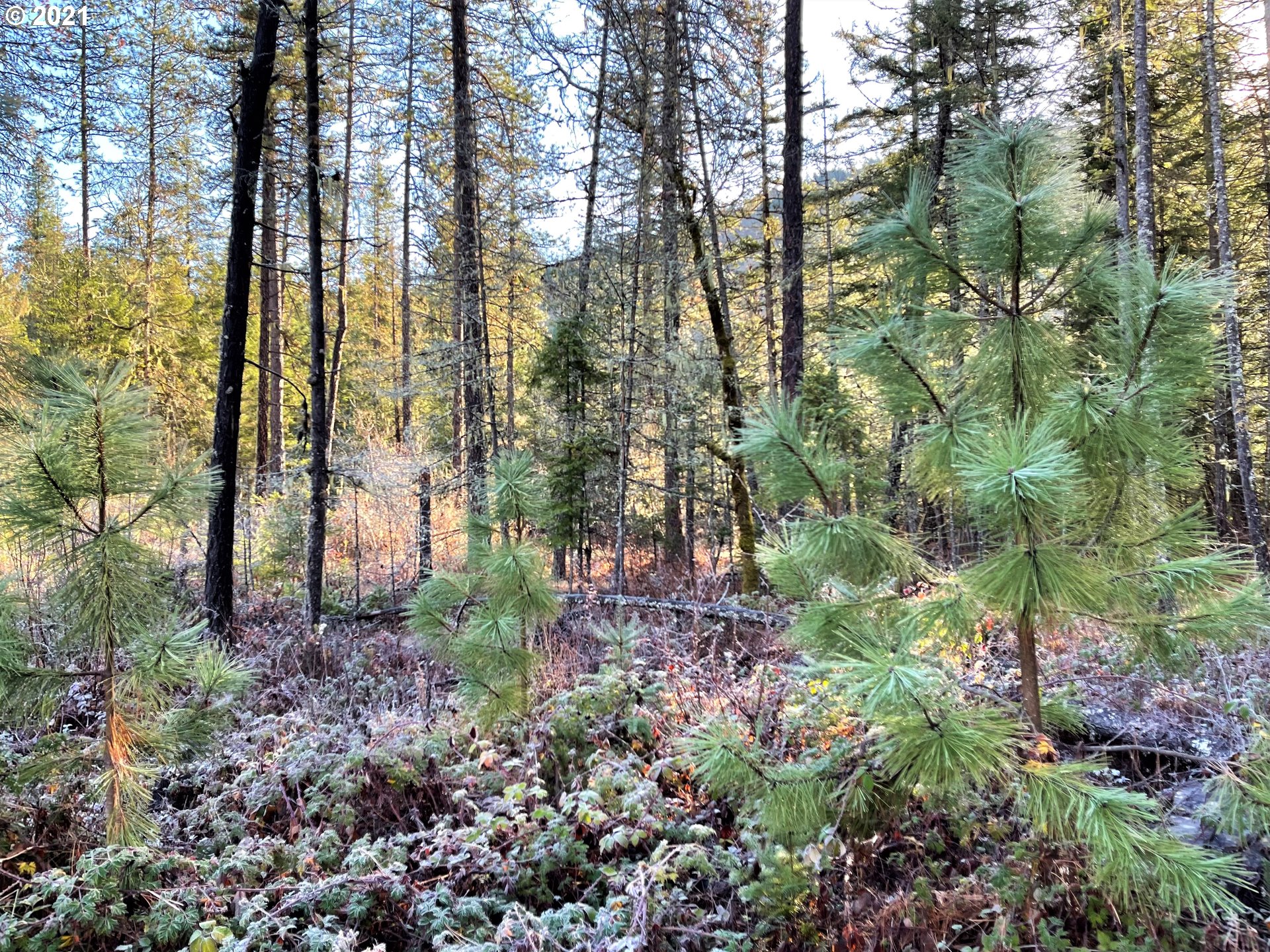 Rattlesnake Road, Unit B White Salmon, WA 98672 - Photo 8 of 18 Gallery Image 8