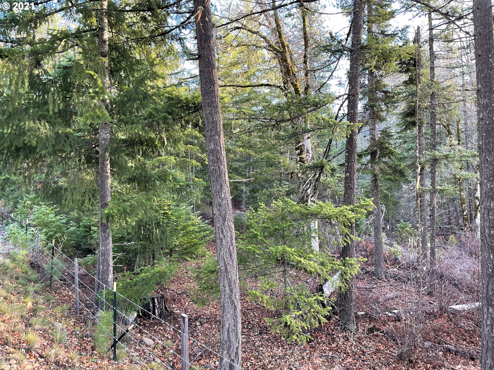 Rattlesnake Road, Unit B White Salmon, WA 98672 - Photo 10 of 18 Gallery Image 10