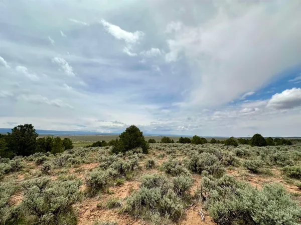a view of a room with rack on the wall