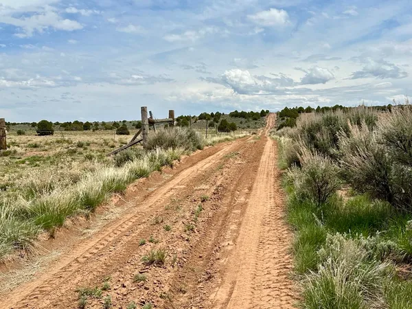 a view of a backyard of the house