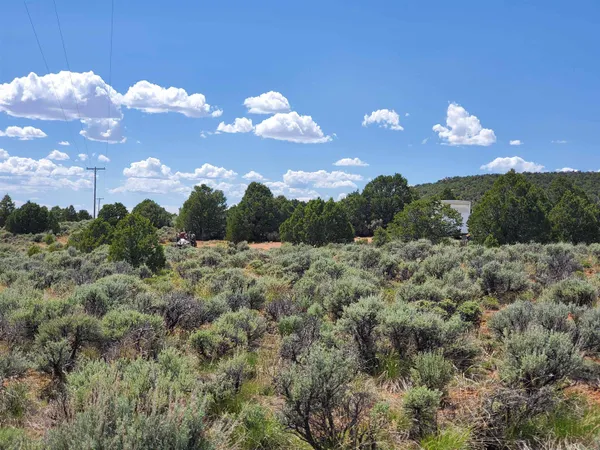 $132,500 | 15451 Holloway Lane, Glade Park, CO 81523