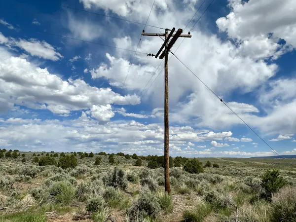 a view of a yard with a tree in the background