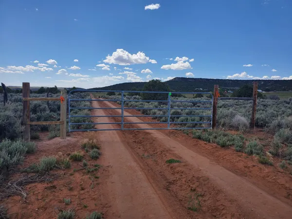 a view of a backyard with plants and a yard