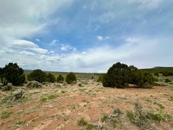 a view of a field with an ocean