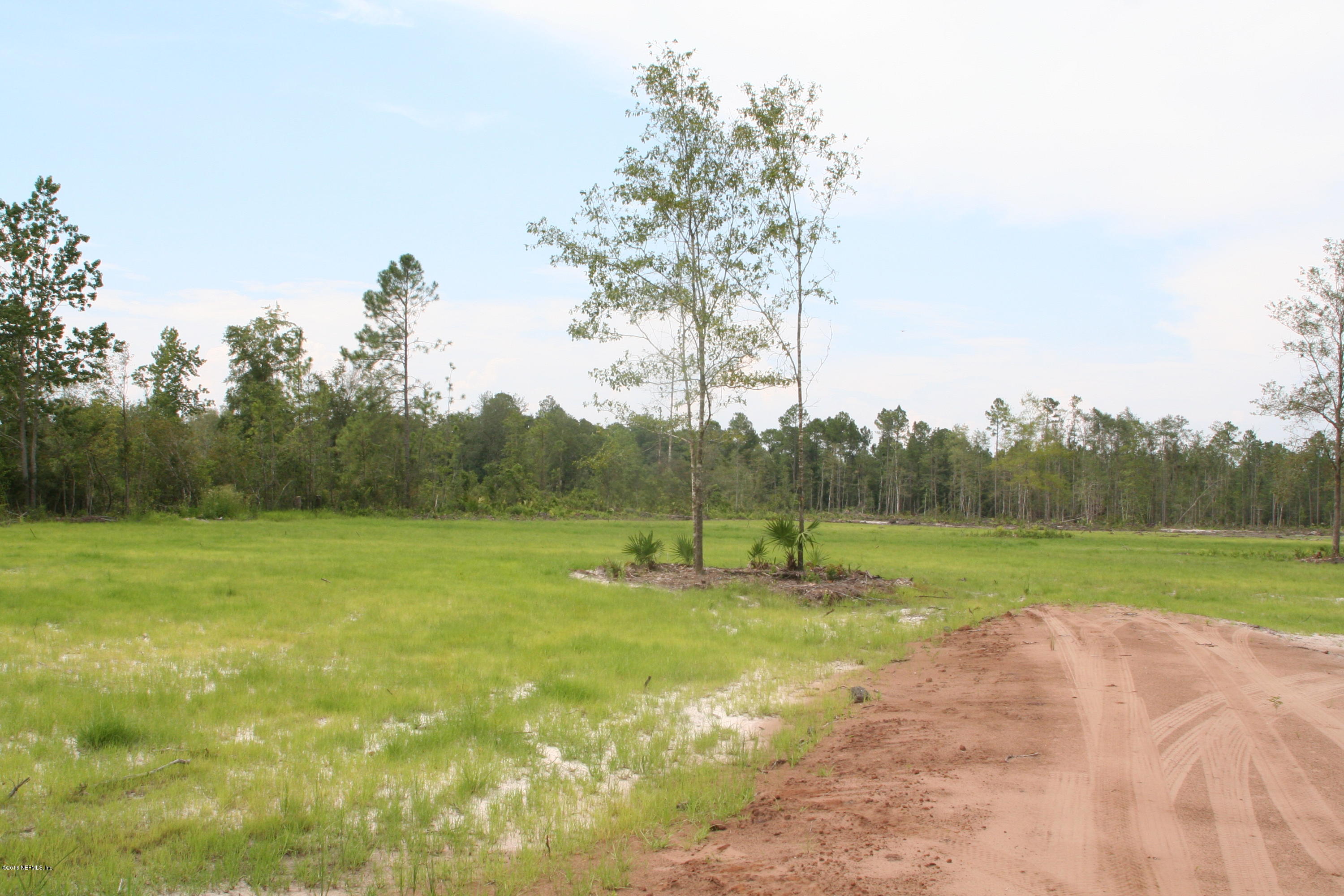 511 Randy Road Yulee, FL 32097 - Photo 4 of 10 a view of field with tall trees