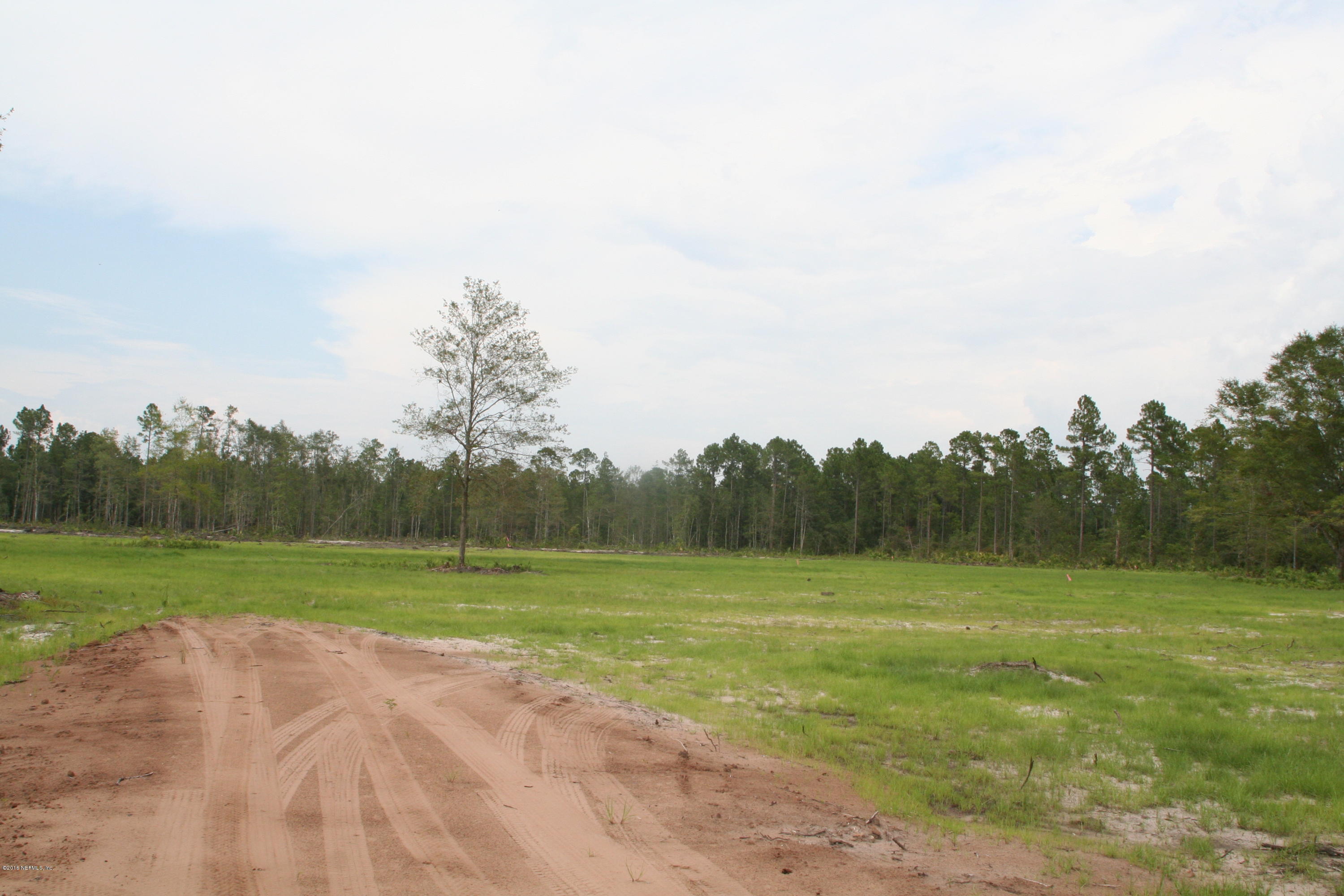 511 Randy Road Yulee, FL 32097 - Photo 5 of 10 a view of a field with a trees