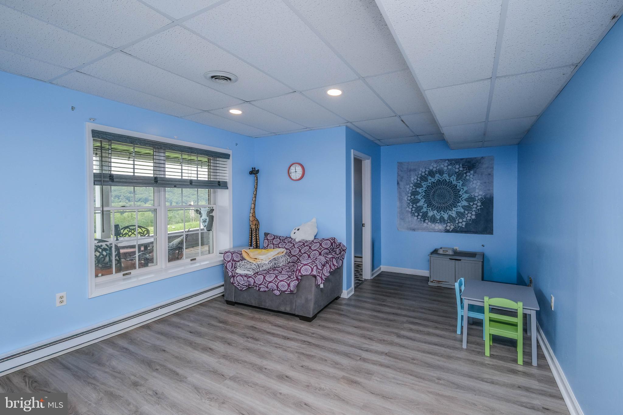 217 Silver Bell Lane Luray, VA 22835 - Photo 58 of 103 Bedroom 6 with LVP flooring