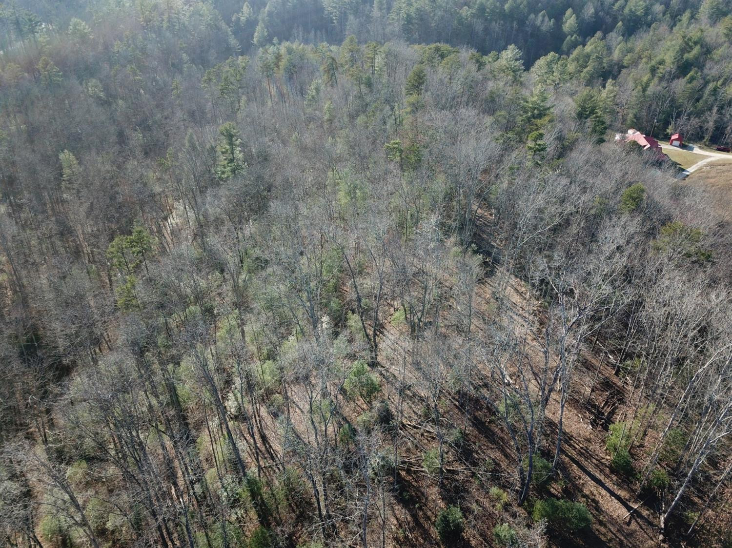 0 Hiram Branch Road Campton, KY 41301 - Photo 24 of 29 Photo 24