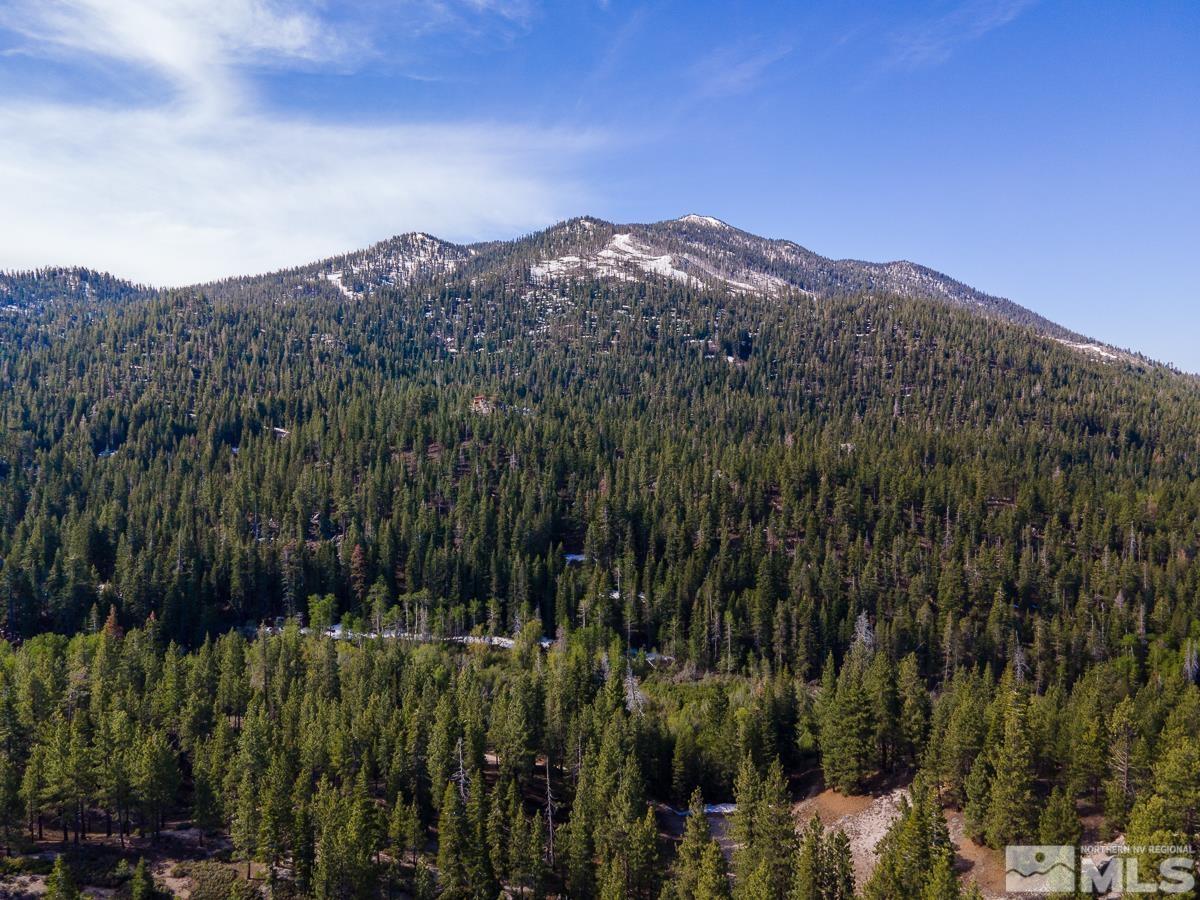 618 Jeff Lane Stateline, NV 89449 - Photo 34 of 37 a view of a houses with a lush green forest