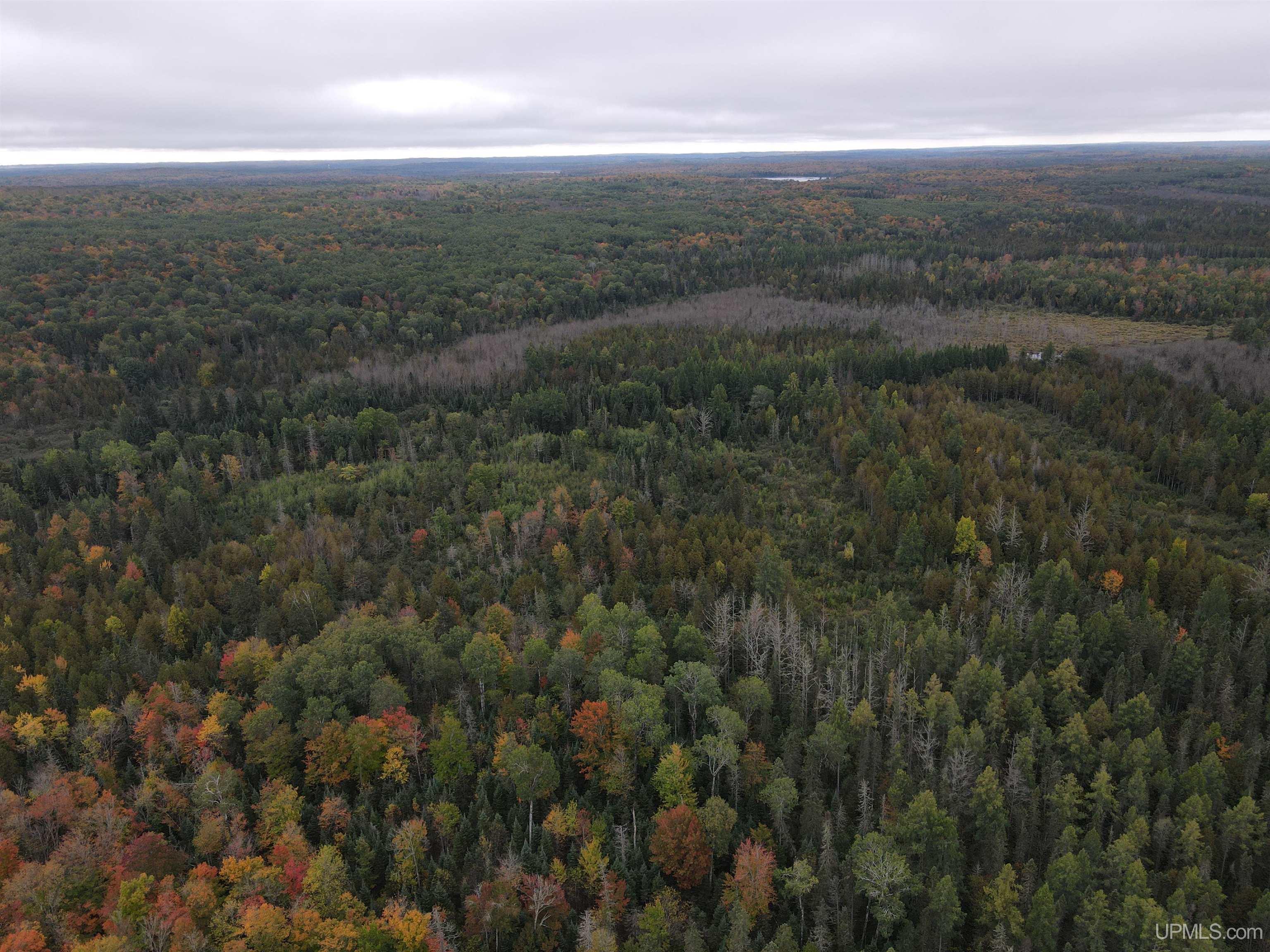 On Dunham Road Marenisco, MI 49947 - Photo 40 of 47