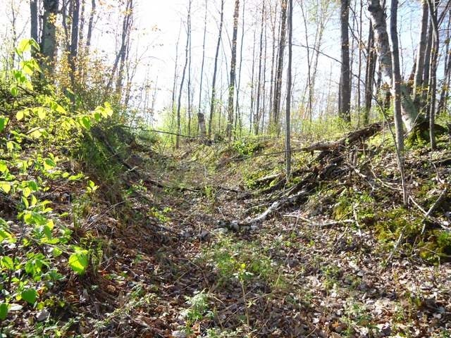 Lot 1 Lake Rest Road Rhinelander, WI 54501 - Photo 6 of 17 Gallery Image 6