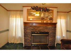 8845 Old Stage Road Limestone, TN 37681 - Photo 7 of 8 Fireplace
