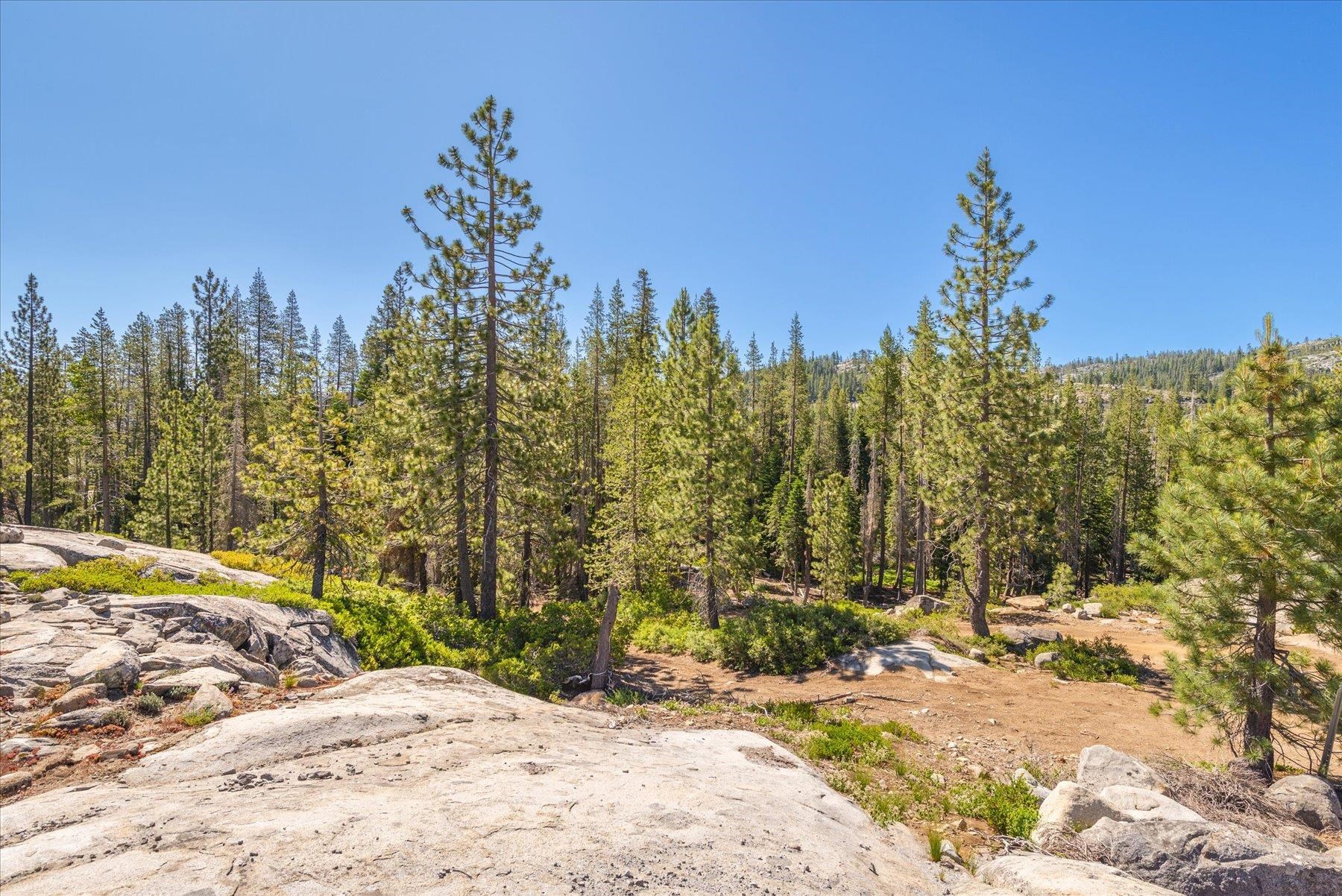 0 Hampshire Rocks Road Emigrant Gap, CA 95715 - Photo 2 of 28