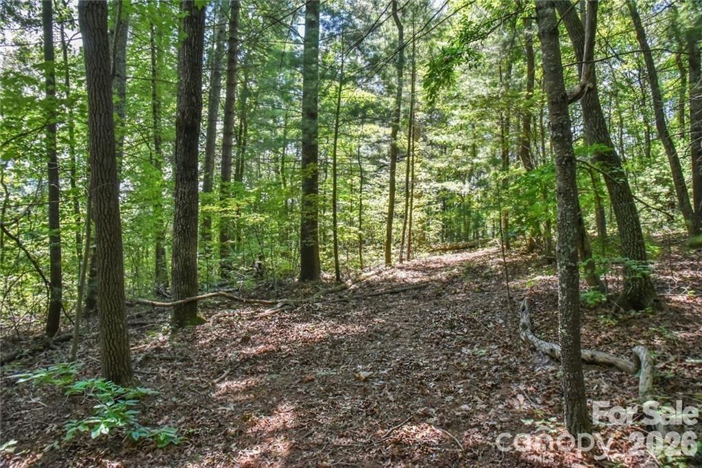 19 Laurel Loop Road Fletcher, NC 28732 - Photo 12 of 13 a view of outdoor space and trees