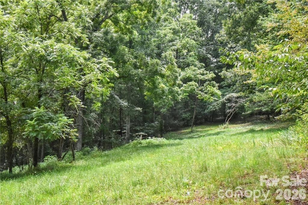 19 Laurel Loop Road Fletcher, NC 28732 - Photo 2 of 13 a view of outdoor space with a garden and trees