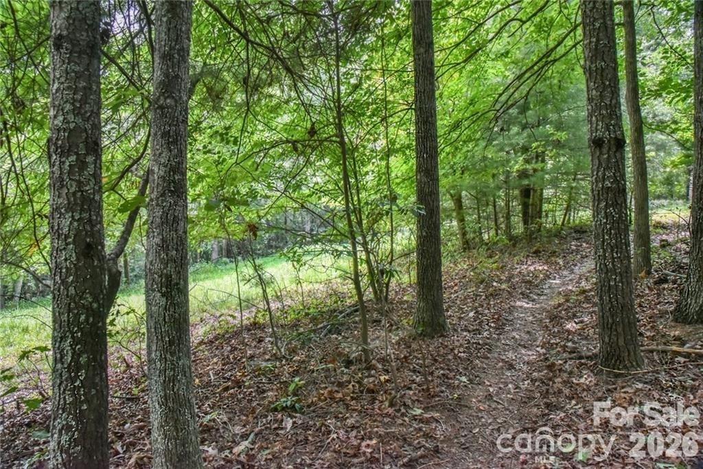 19 Laurel Loop Road Fletcher, NC 28732 - Photo 4 of 13 a view of outdoor space and green space