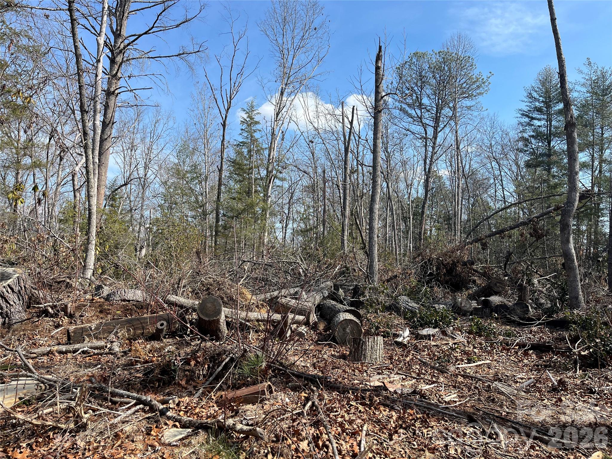 19 Laurel Loop Road Fletcher, NC 28732 - Photo 5 of 13 a view of lot of trees and bushes