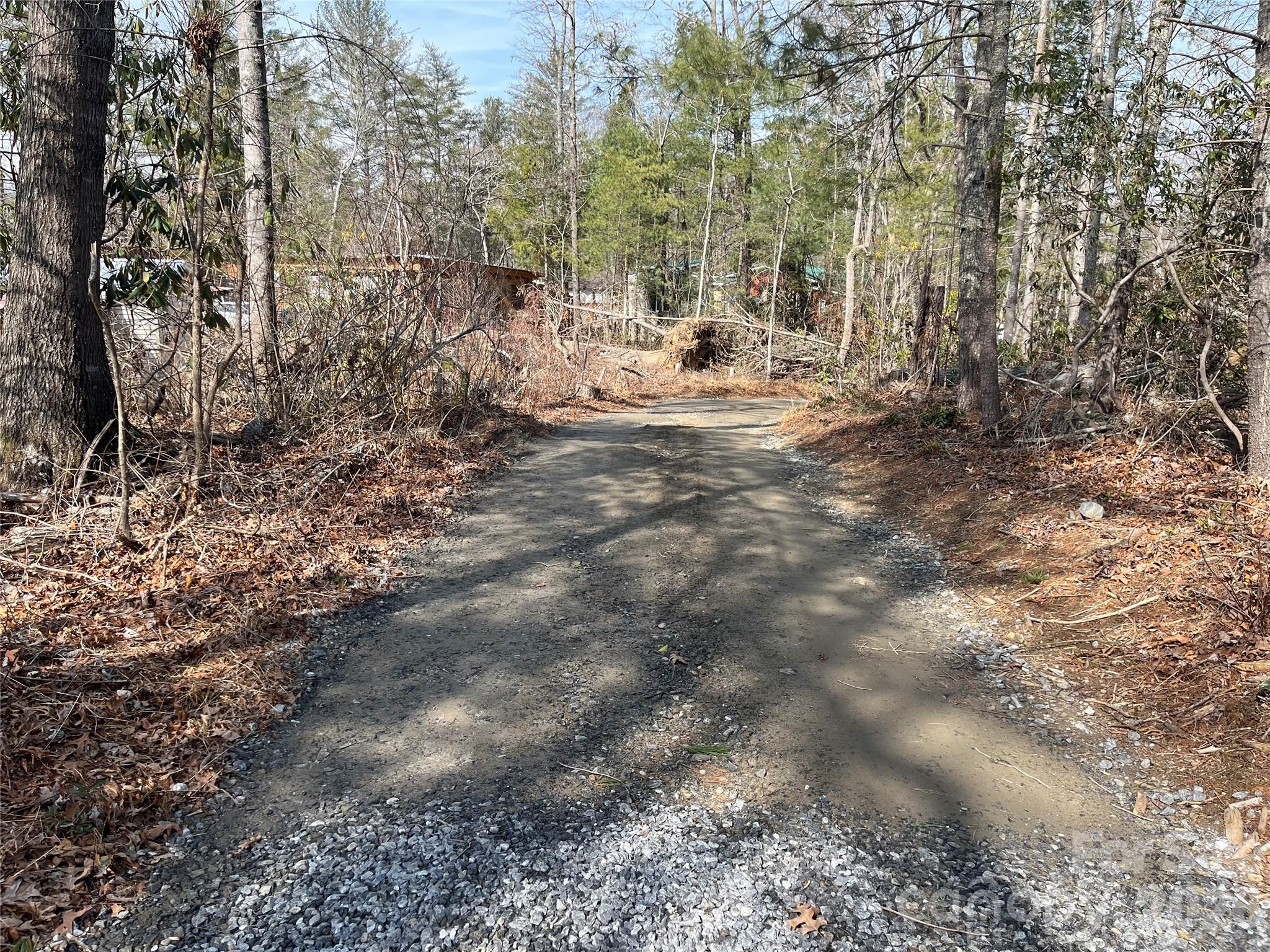 19 Laurel Loop Road Fletcher, NC 28732 - Photo 6 of 13 a view of a forest with trees