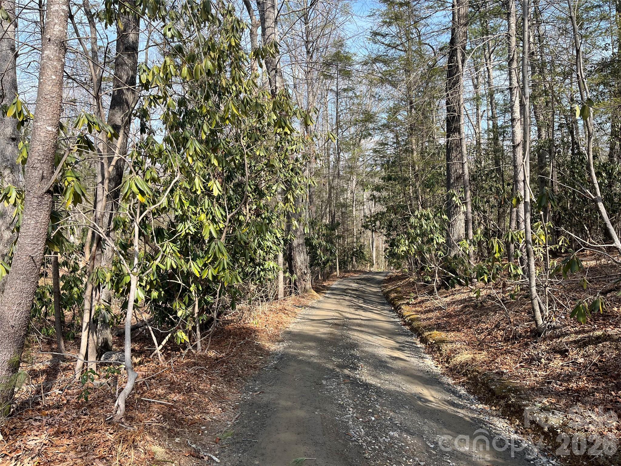 19 Laurel Loop Road Fletcher, NC 28732 - Photo 8 of 13 a view of outdoor space and trees