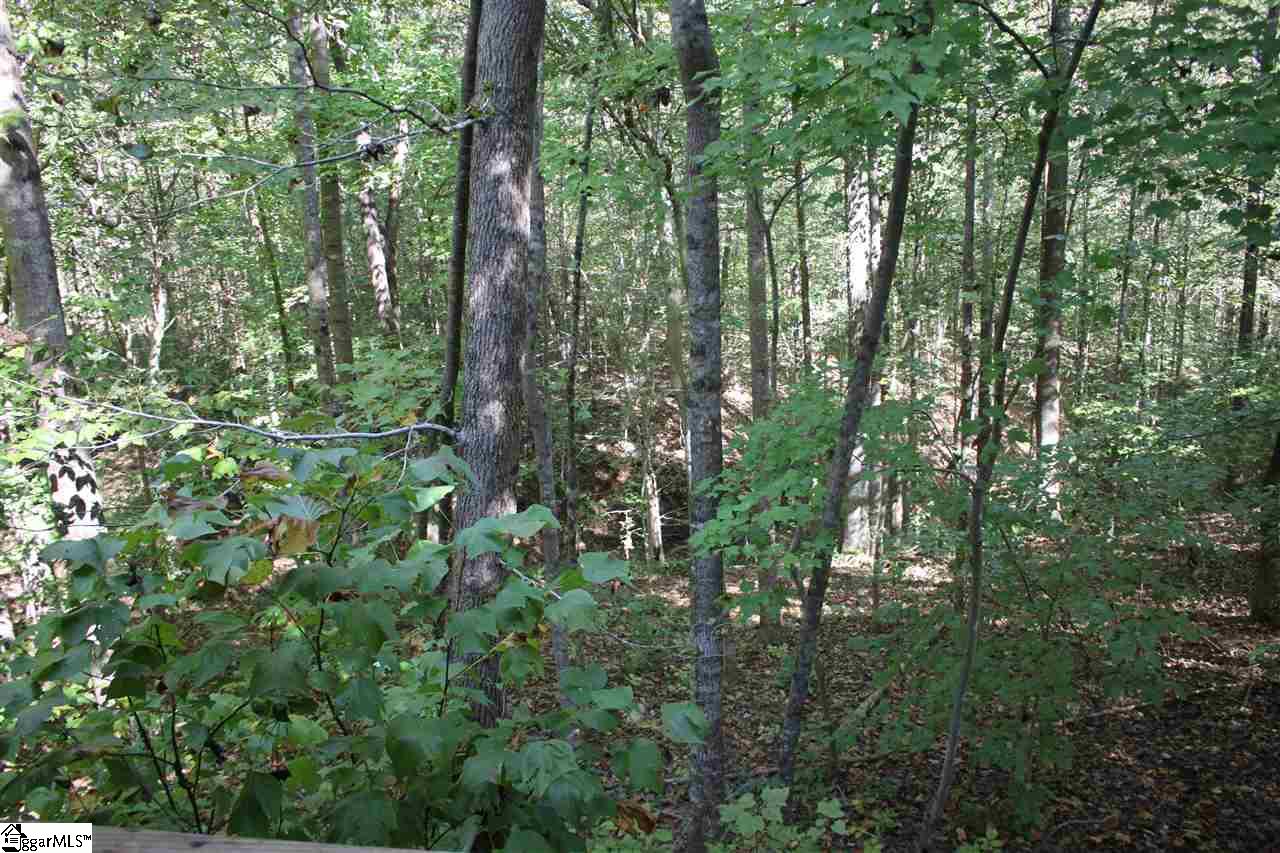 357 Aiken Road Woodruff, SC 29388 - Photo 14 of 14 Gallery Image 14