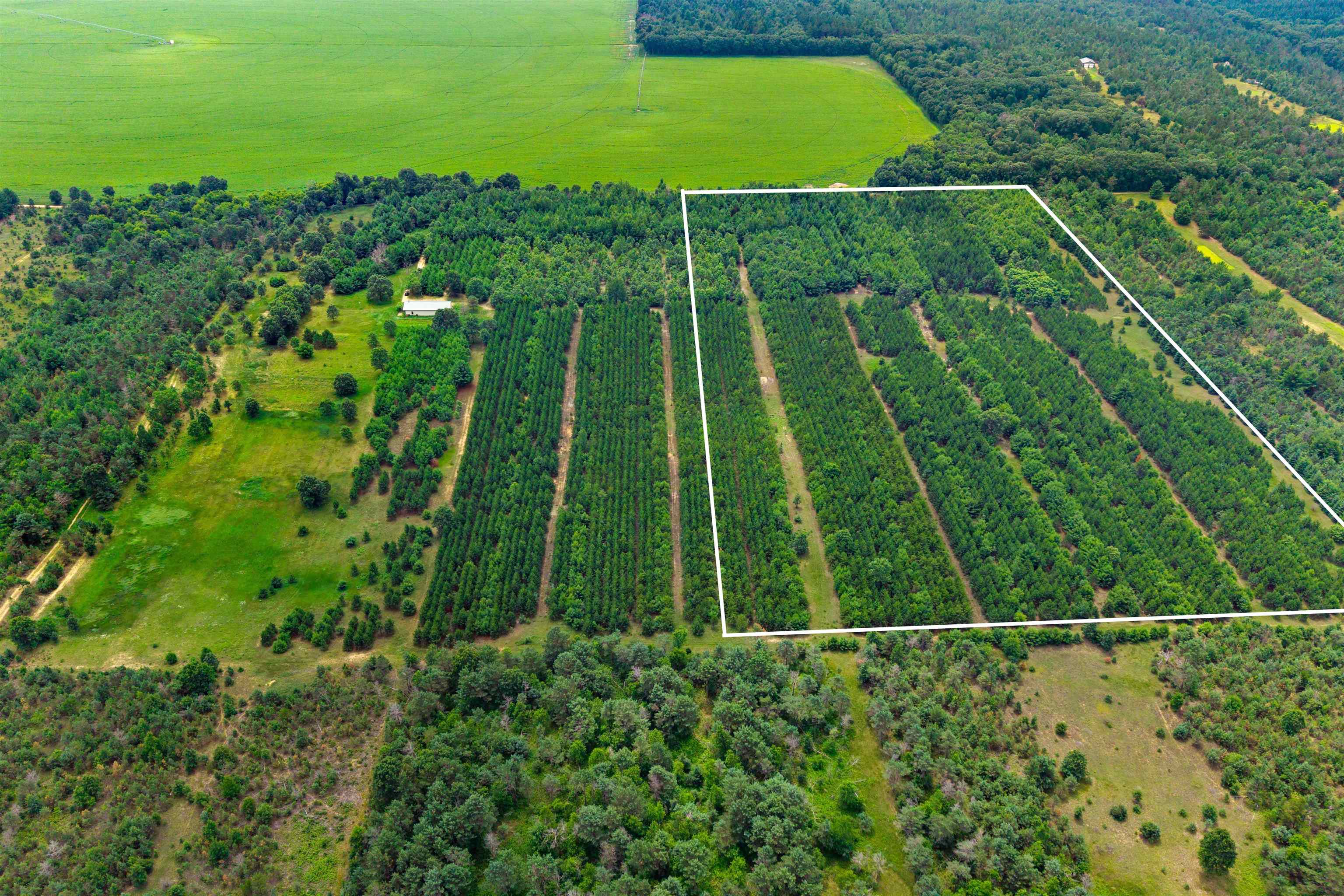 Deer Path, Unit 4 Hancock, WI 54943 - Photo 1 of 12