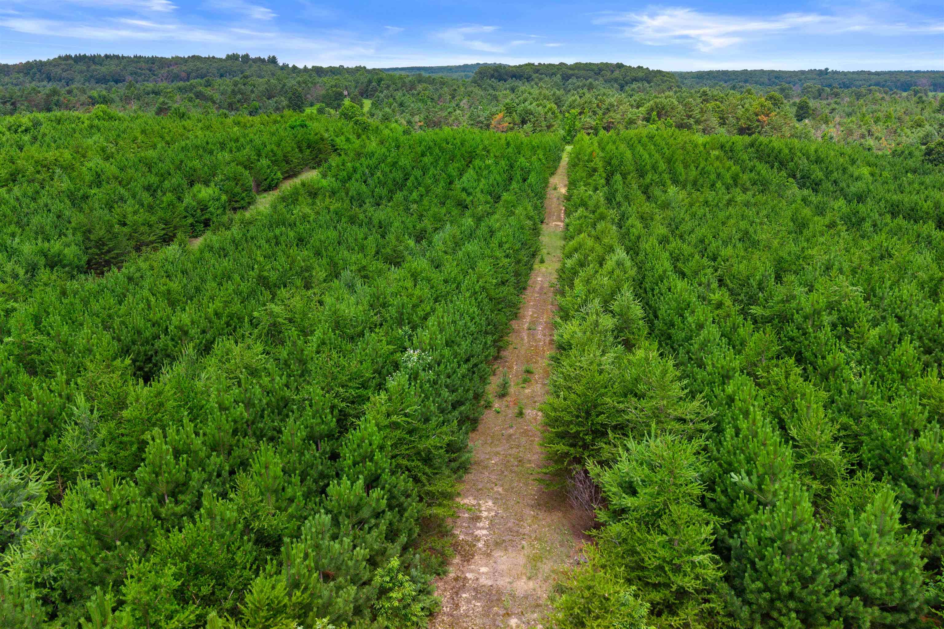 Deer Path, Unit 4 Hancock, WI 54943 - Photo 11 of 12