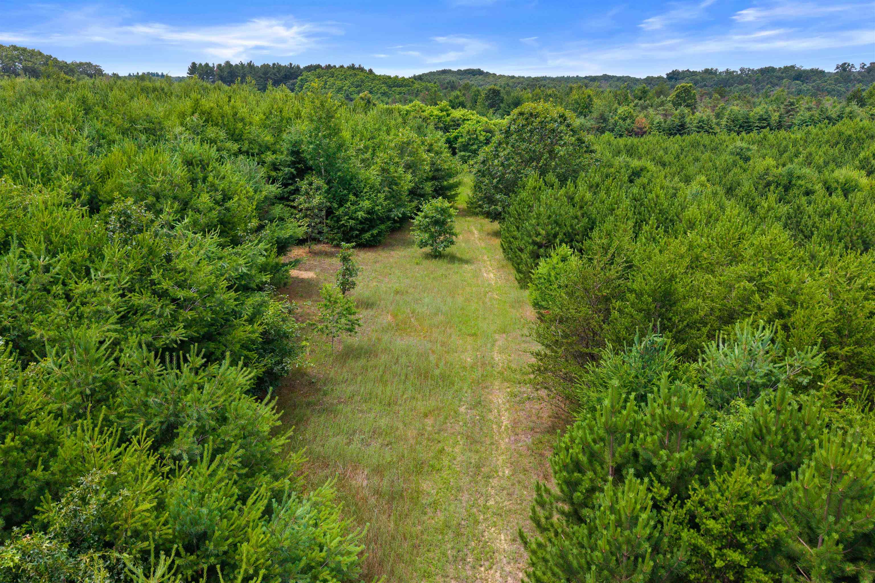 Deer Path, Unit 4 Hancock, WI 54943 - Photo 12 of 12
