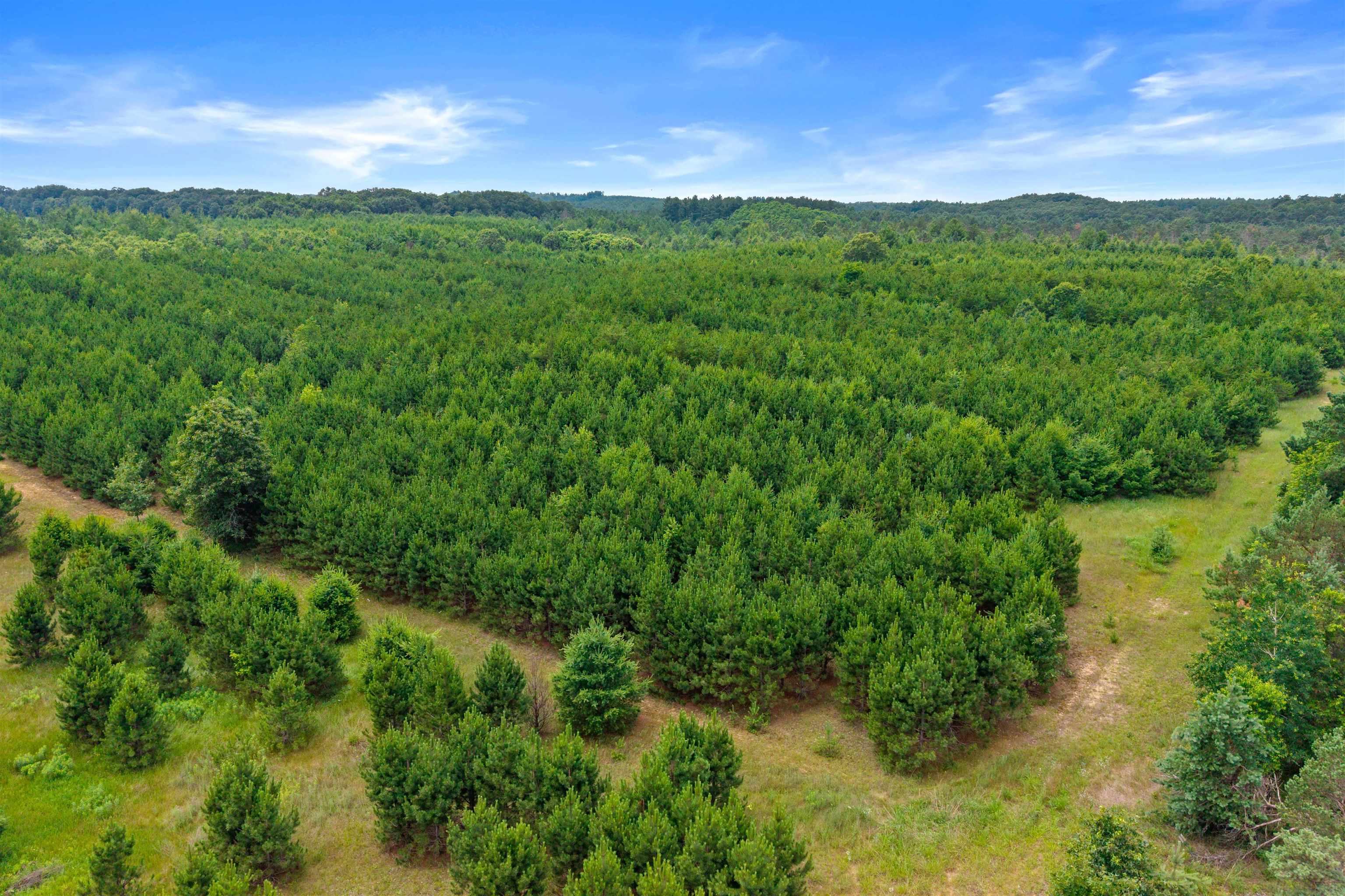 Deer Path, Unit 4 Hancock, WI 54943 - Photo 2 of 12