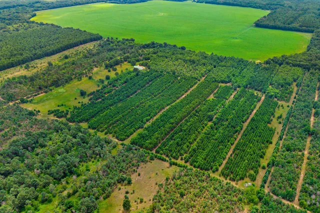 $159,900 | Deer Path, Unit 4, Hancock, WI 54943