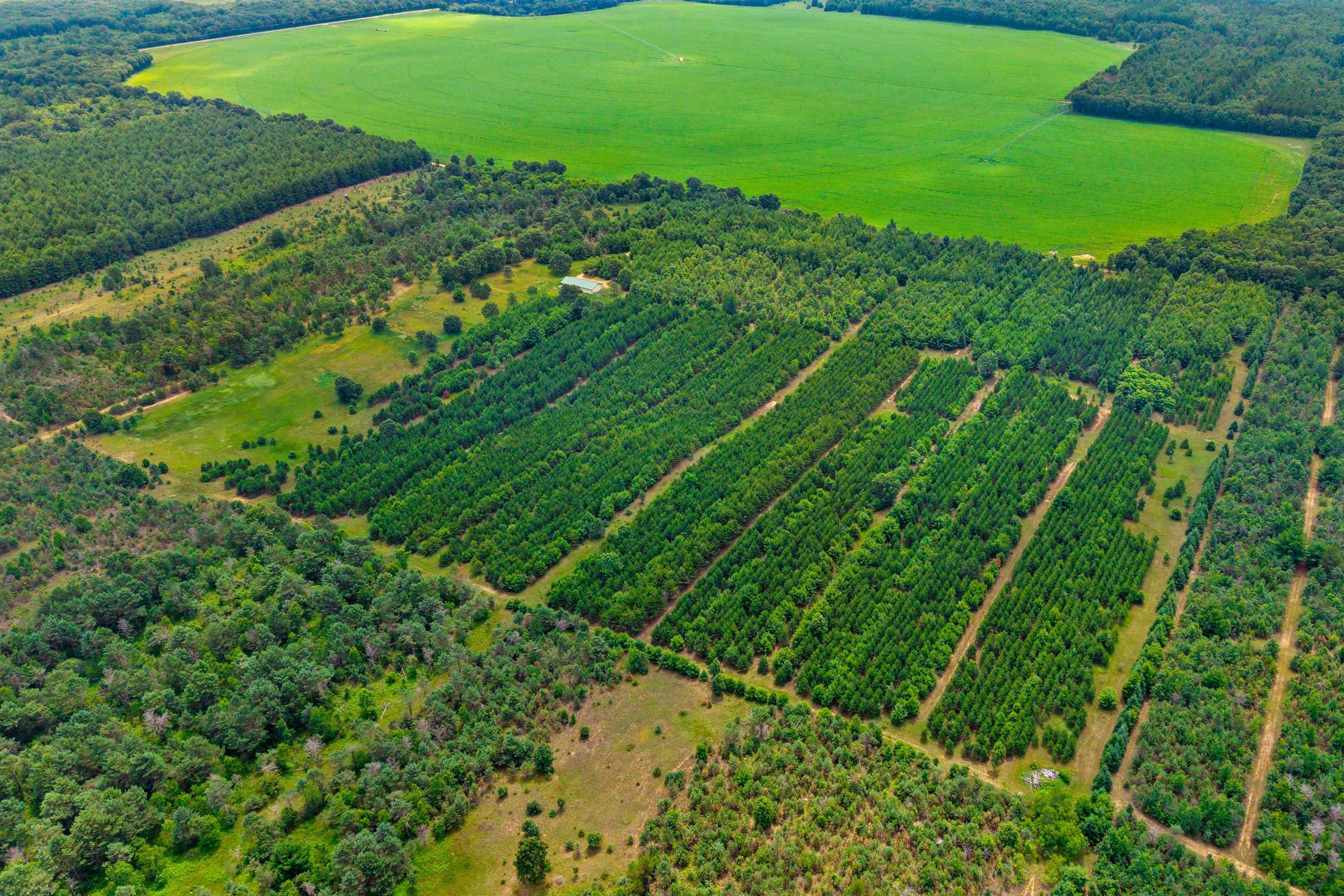 Deer Path, Unit 4 Hancock, WI 54943 - Photo 3 of 12