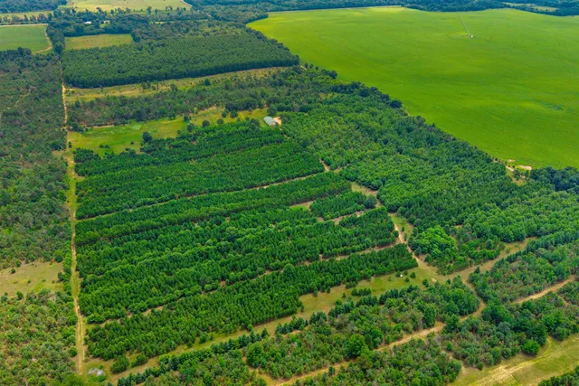 $159,900 | Deer Path, Unit 4, Hancock, WI 54943