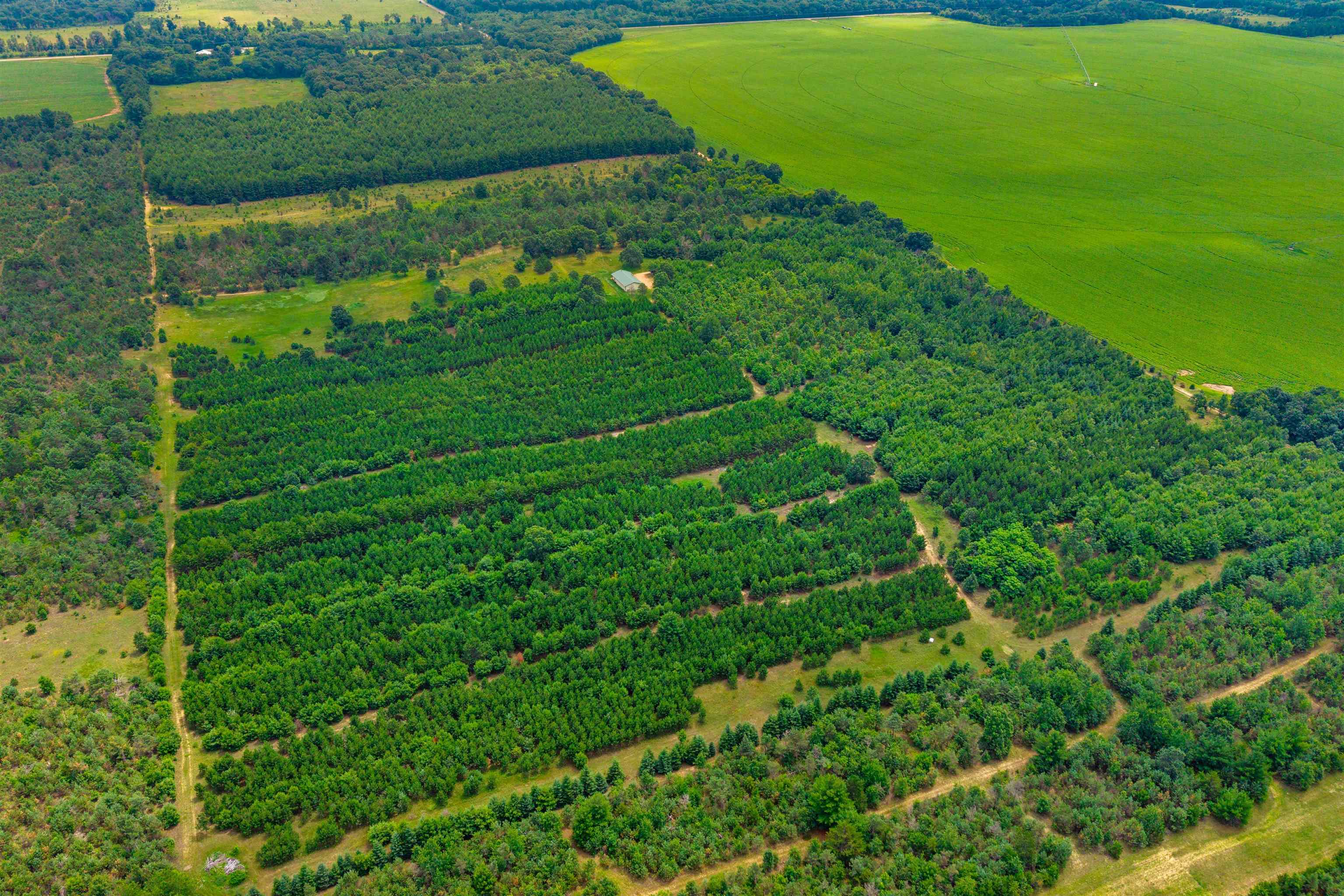 Deer Path, Unit 4 Hancock, WI 54943 - Photo 4 of 12