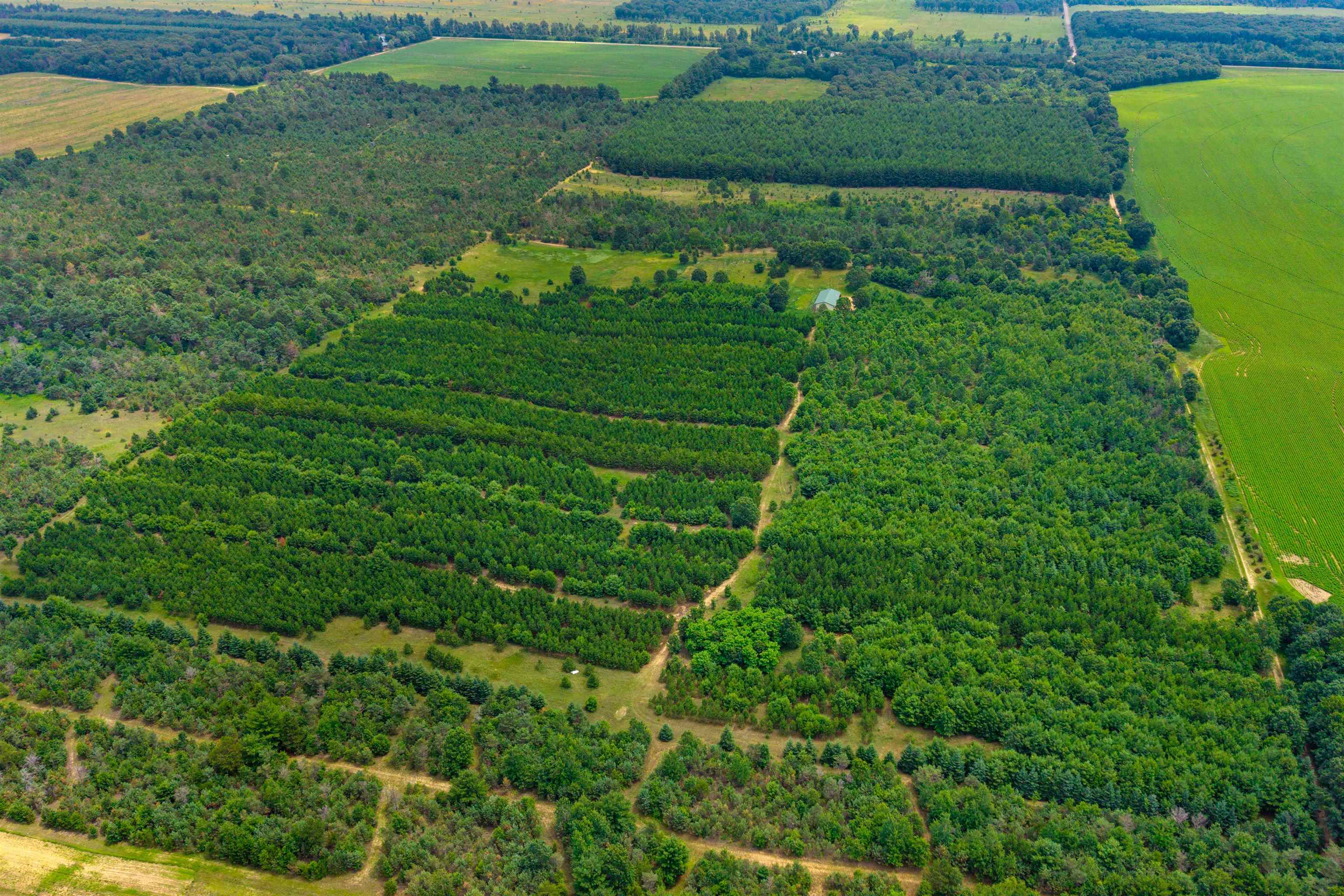 Deer Path, Unit 4 Hancock, WI 54943 - Photo 5 of 12