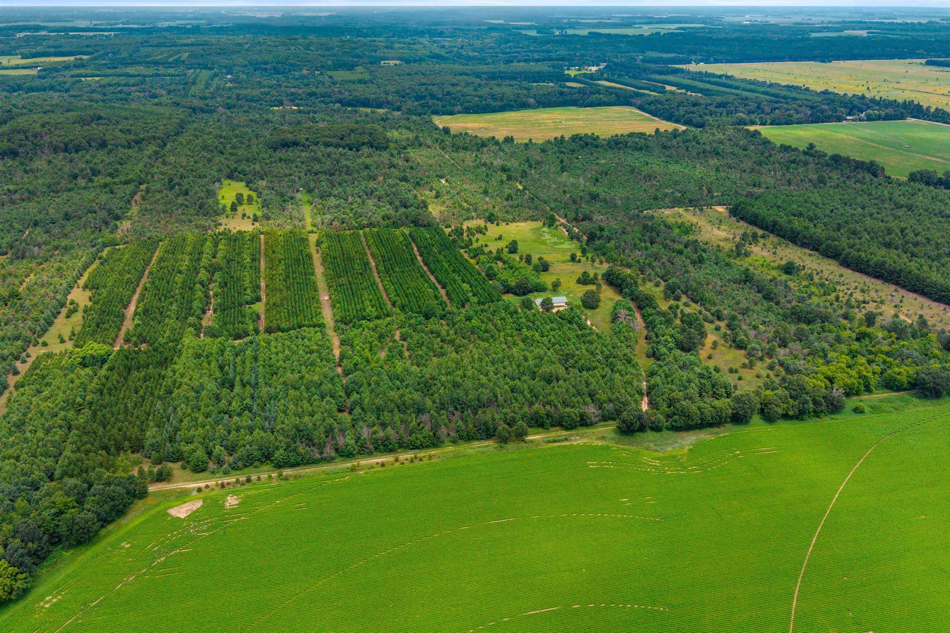 Deer Path, Unit 4 Hancock, WI 54943 - Photo 6 of 12