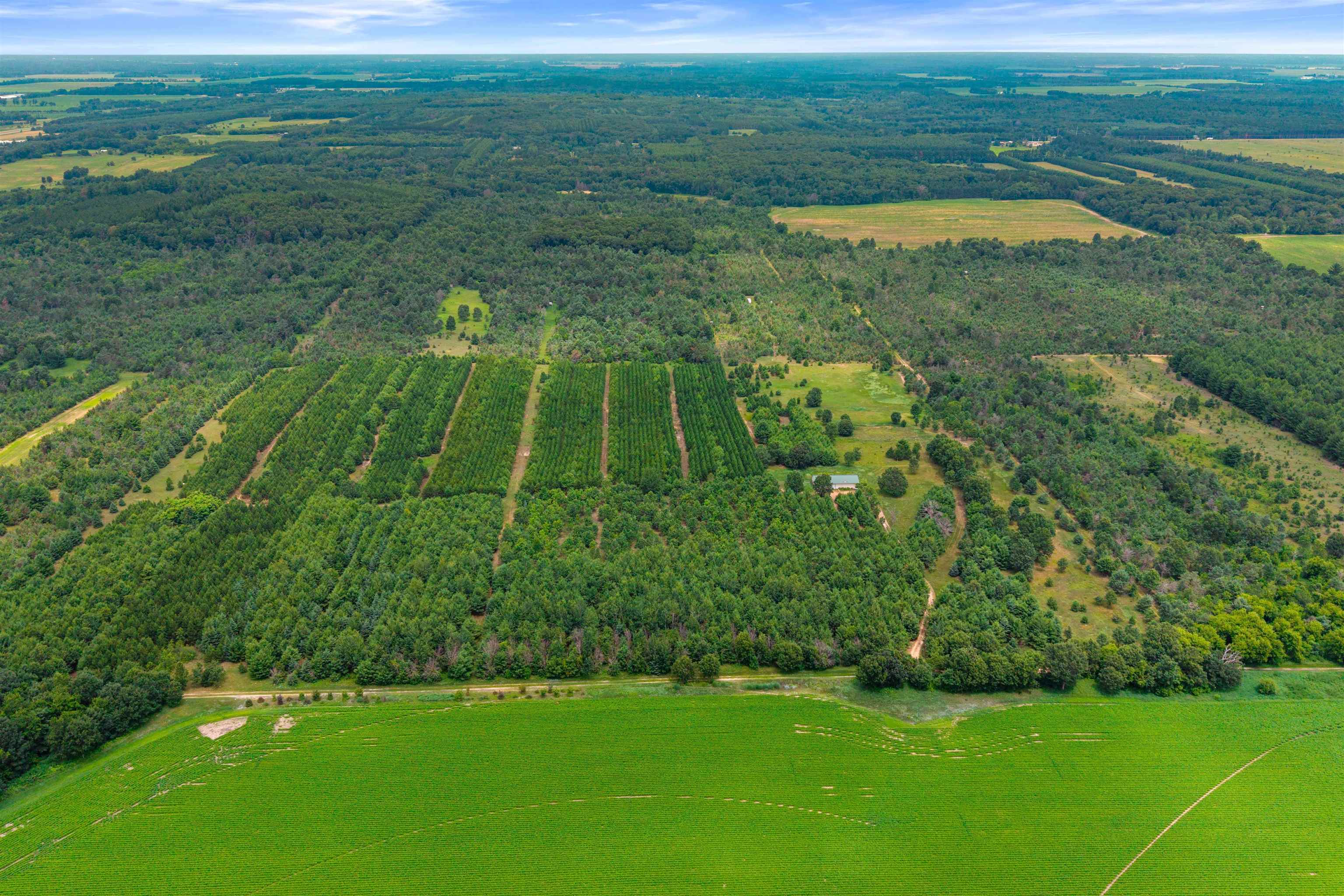 Deer Path, Unit 4 Hancock, WI 54943 - Photo 8 of 12