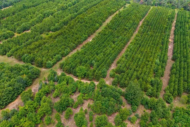 $159,900 | Deer Path, Unit 4, Hancock, WI 54943