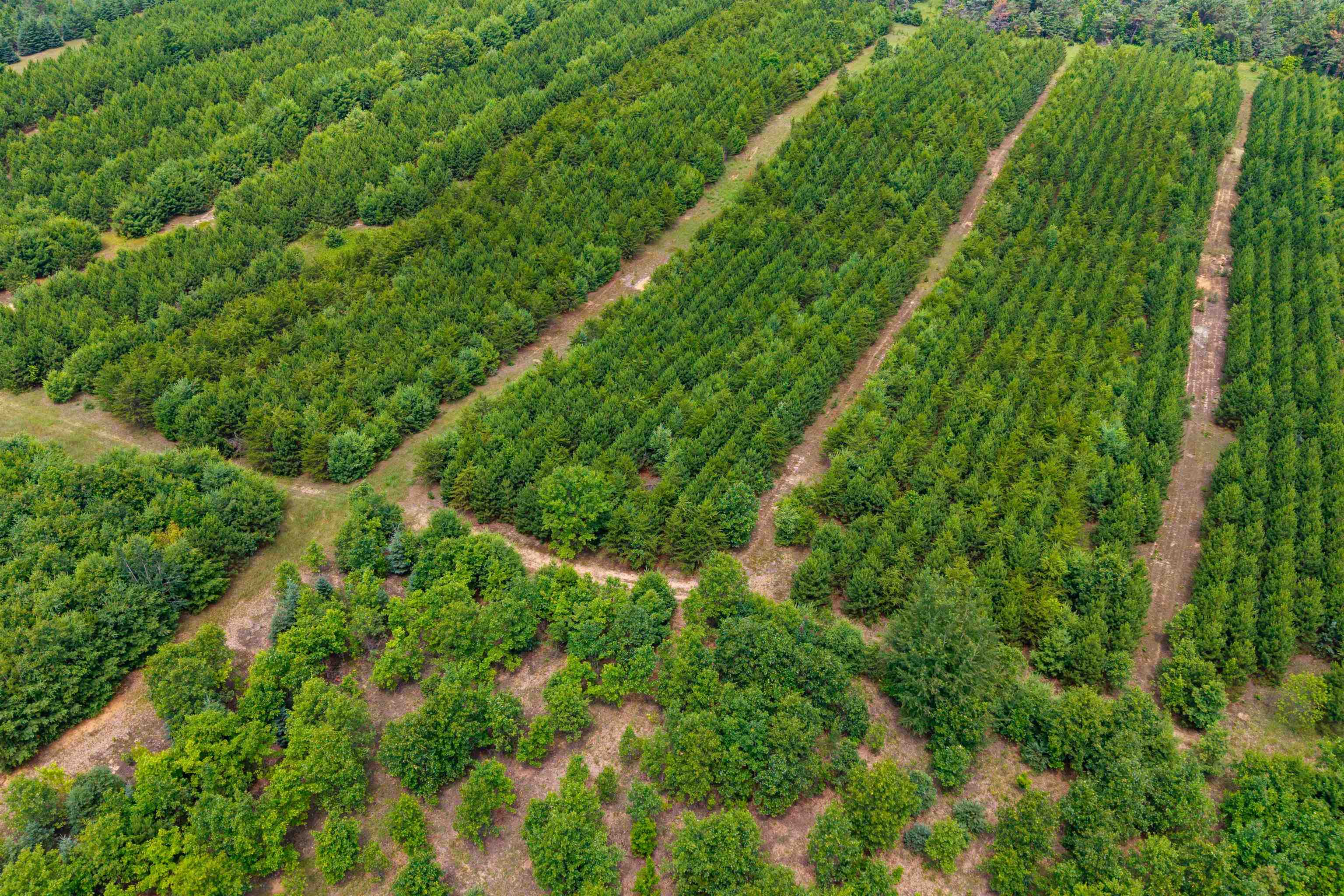 Deer Path, Unit 4 Hancock, WI 54943 - Photo 10 of 12