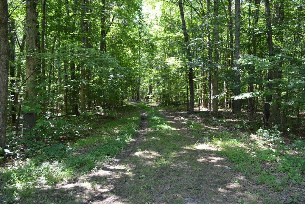1311 Tuggle Road Farmville, VA 23901 - Photo 27 of 27 Gallery Image 27
