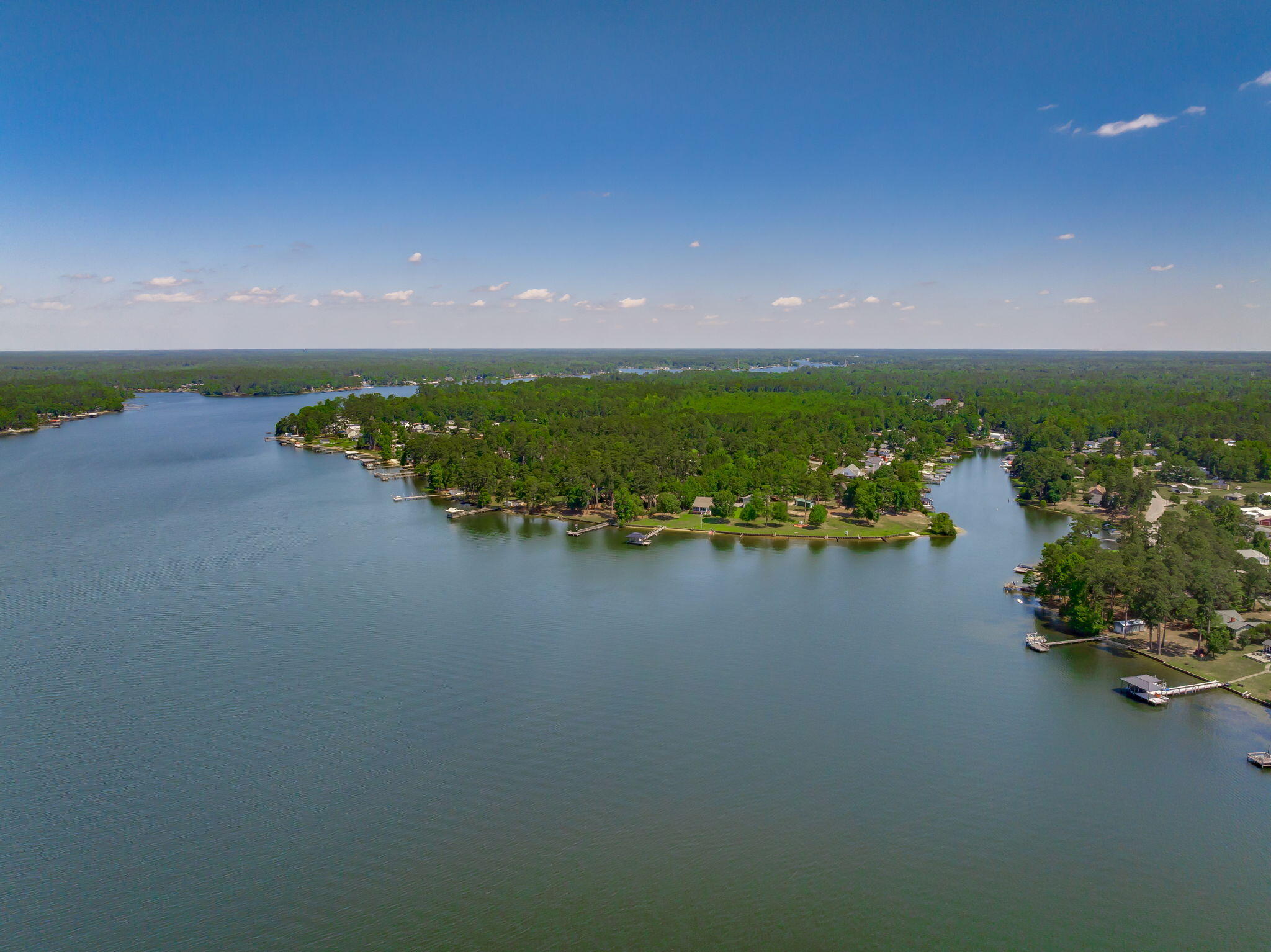 1136 Lemon Avenue Manning, SC 29102 - Photo 88 of 97
