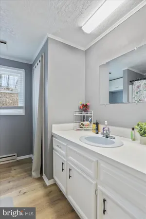 a bathroom with a sink and a mirror