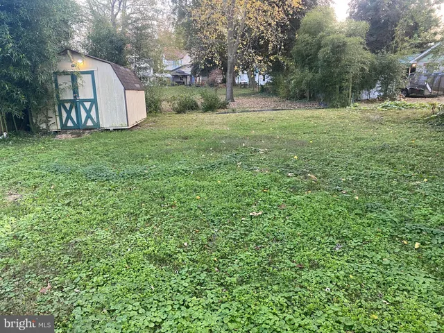 a view of a back yard