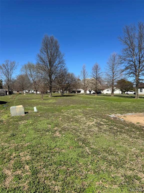 107 East Wilkey Risco, MO 63874 - Photo 7 of 21