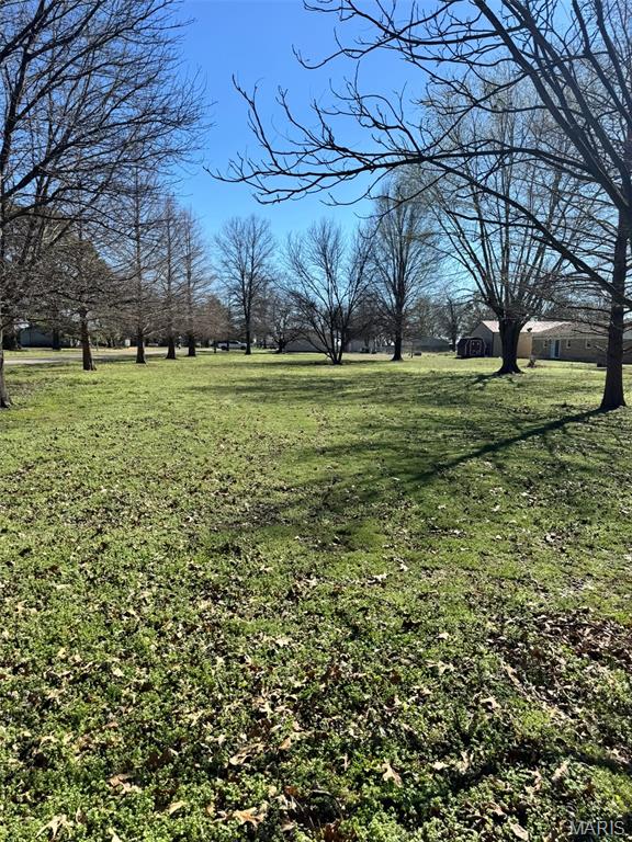 107 East Wilkey Risco, MO 63874 - Photo 8 of 21