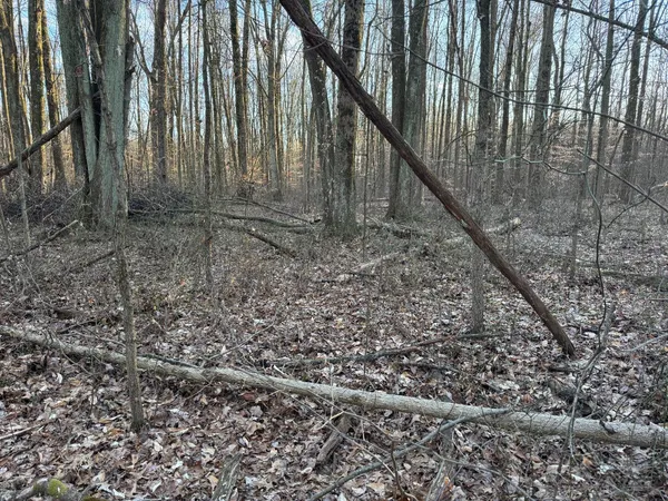 $152,100 | 0 US Highway 421, Versailles, IN 47042