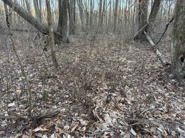 $152,100 | 0 US Highway 421, Versailles, IN 47042