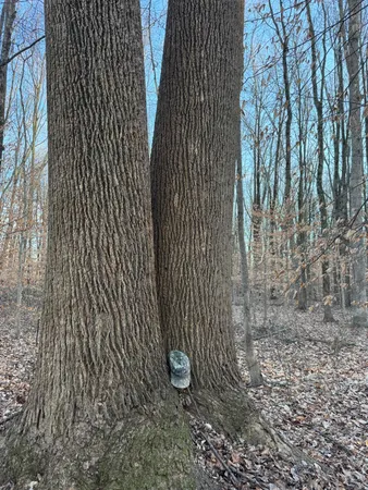 $152,100 | 0 US Highway 421, Versailles, IN 47042