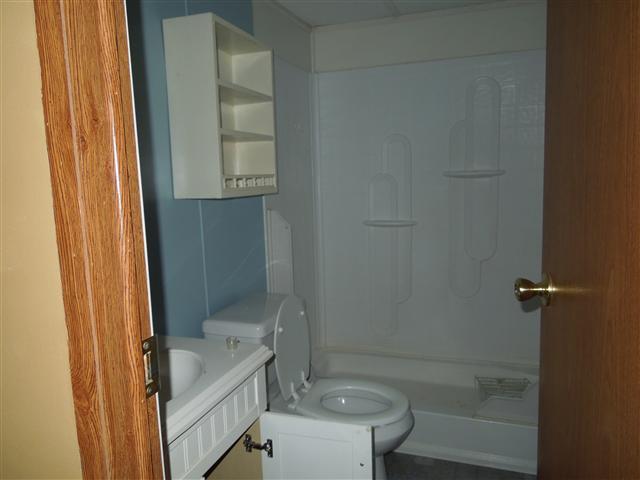 681 Edenway Road Dover, TN 37058 - Photo 17 of 20 Guest bathroom with tub/shower combination.